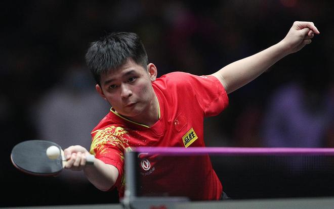 进化和发展 进化和发展